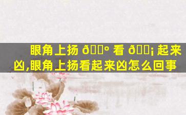 眼角上扬 🌺 看 🐡 起来凶,眼角上扬看起来凶怎么回事